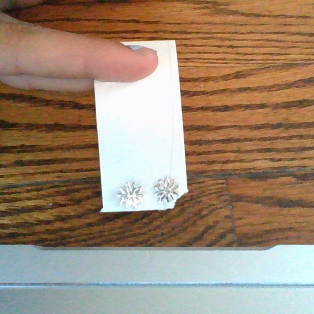 silver earrings - Picture 3 of 5